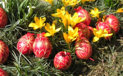 Sărbători fericite!