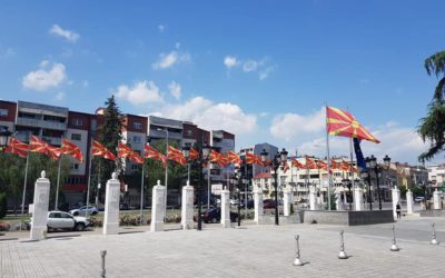 VIZITĂ DE LUCRU ÎN MACEDONIA