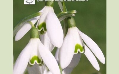 O primăvară minunată cu liniște, zâmbete și dragoste! 1 Martie fericit!